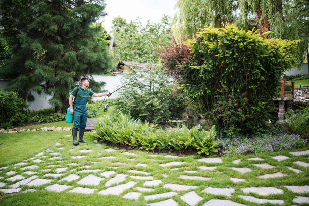 Best Wasp Removal Services  in Enid, OK