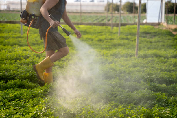 Best Local Pest Control Services  in Enid, OK