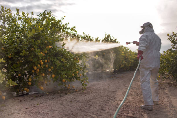 Best Residential Pest Control  in Enid, OK